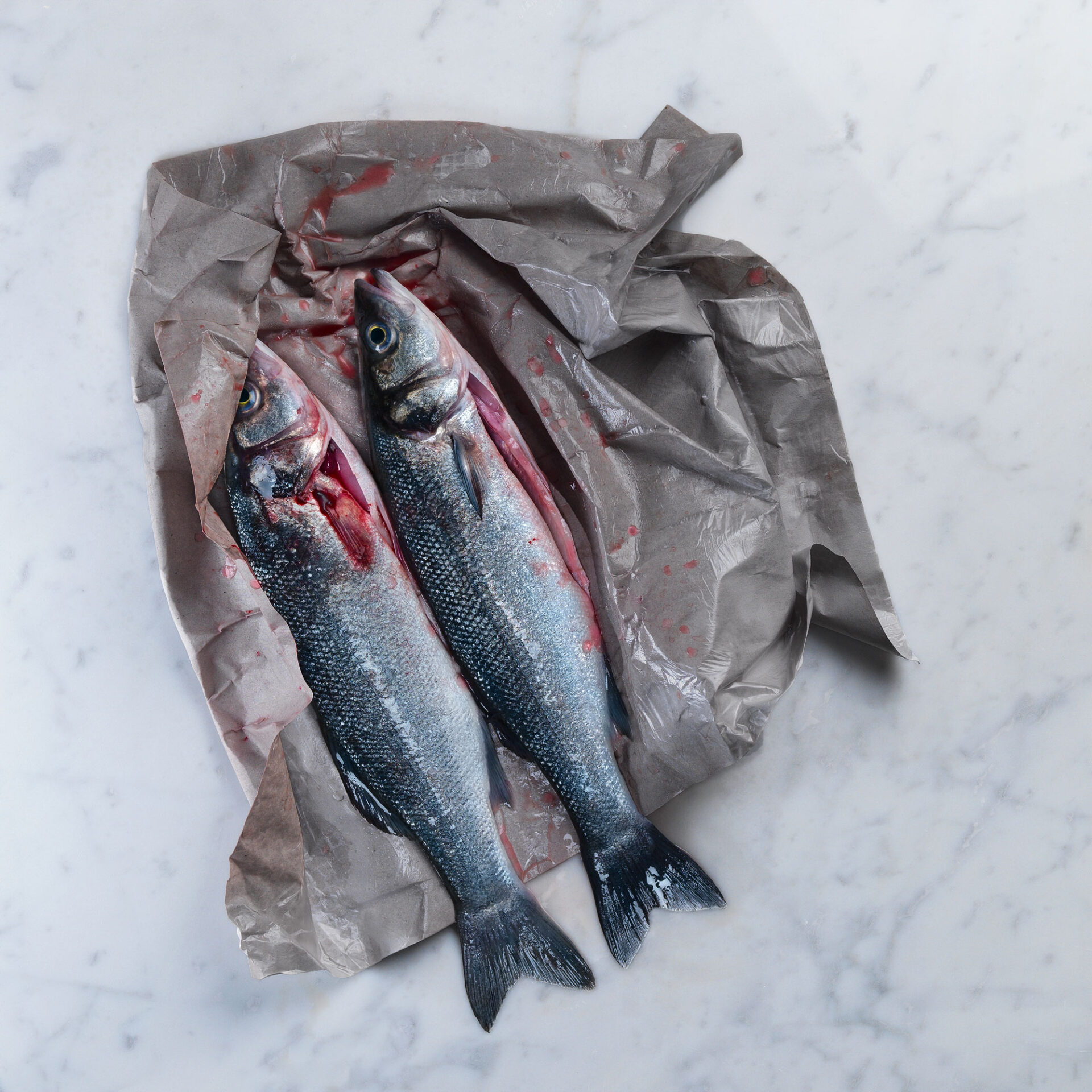 027730-00-LLOBARROS-copia