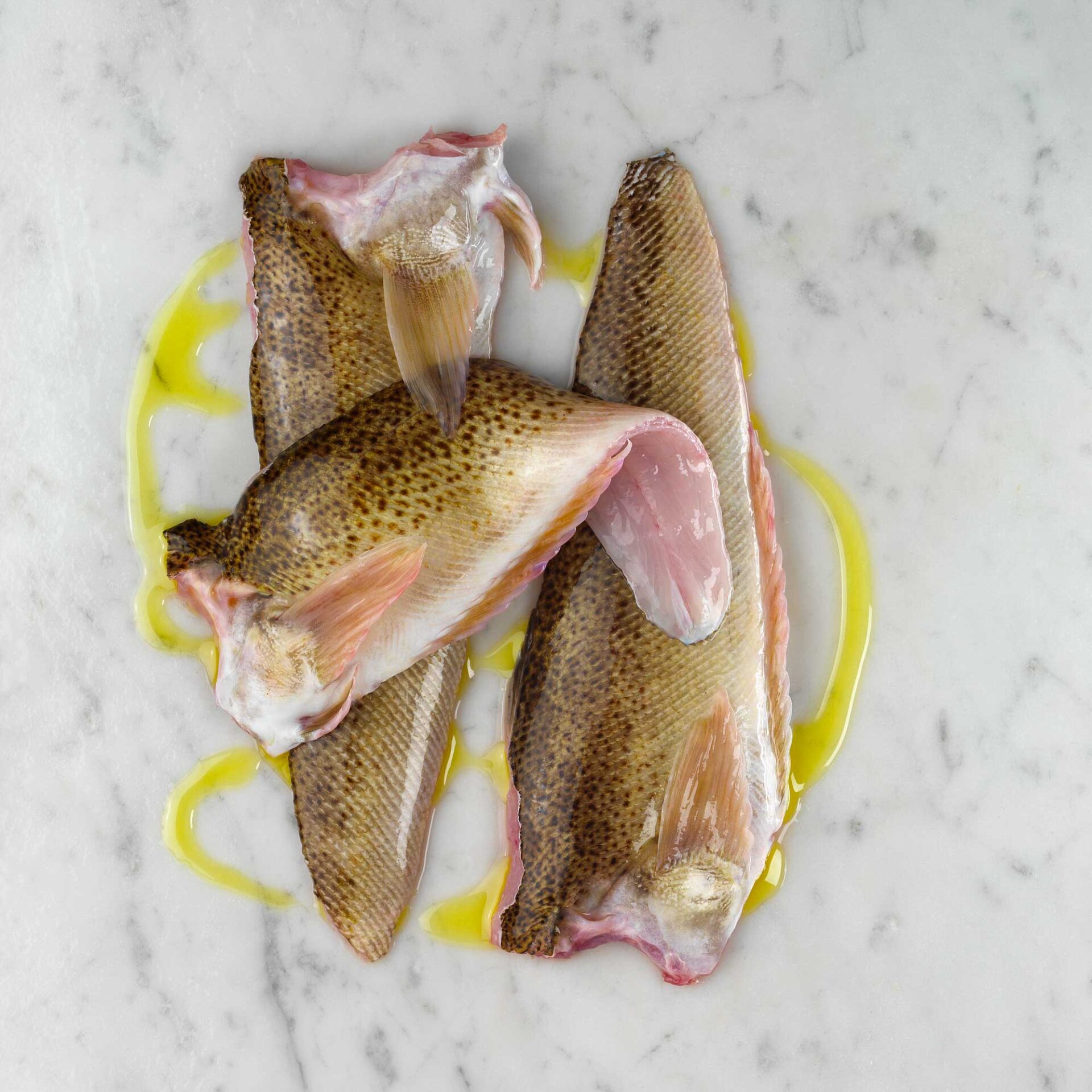 027910-00-Pells-de-peix