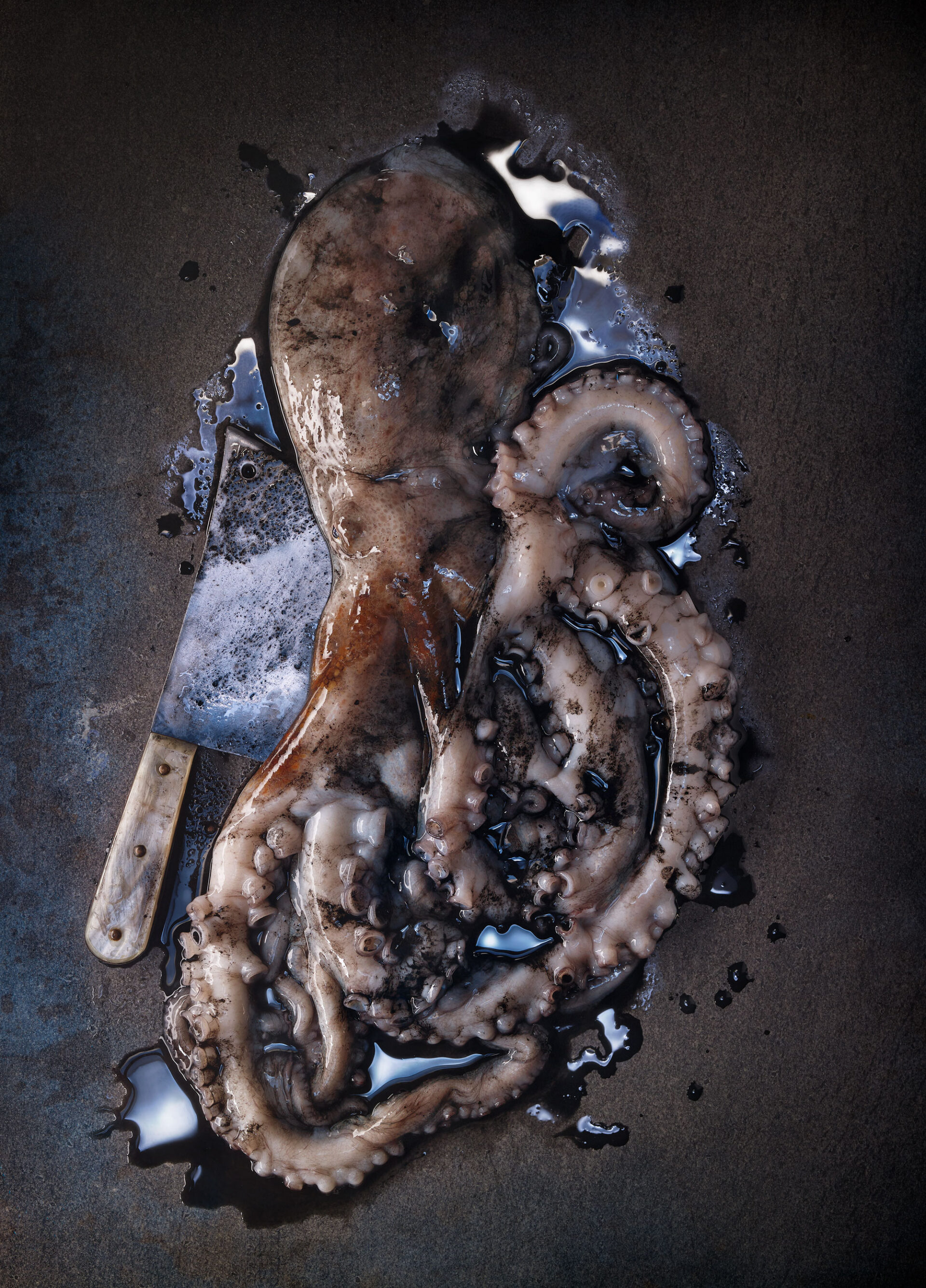 029015-00Dark-octopus