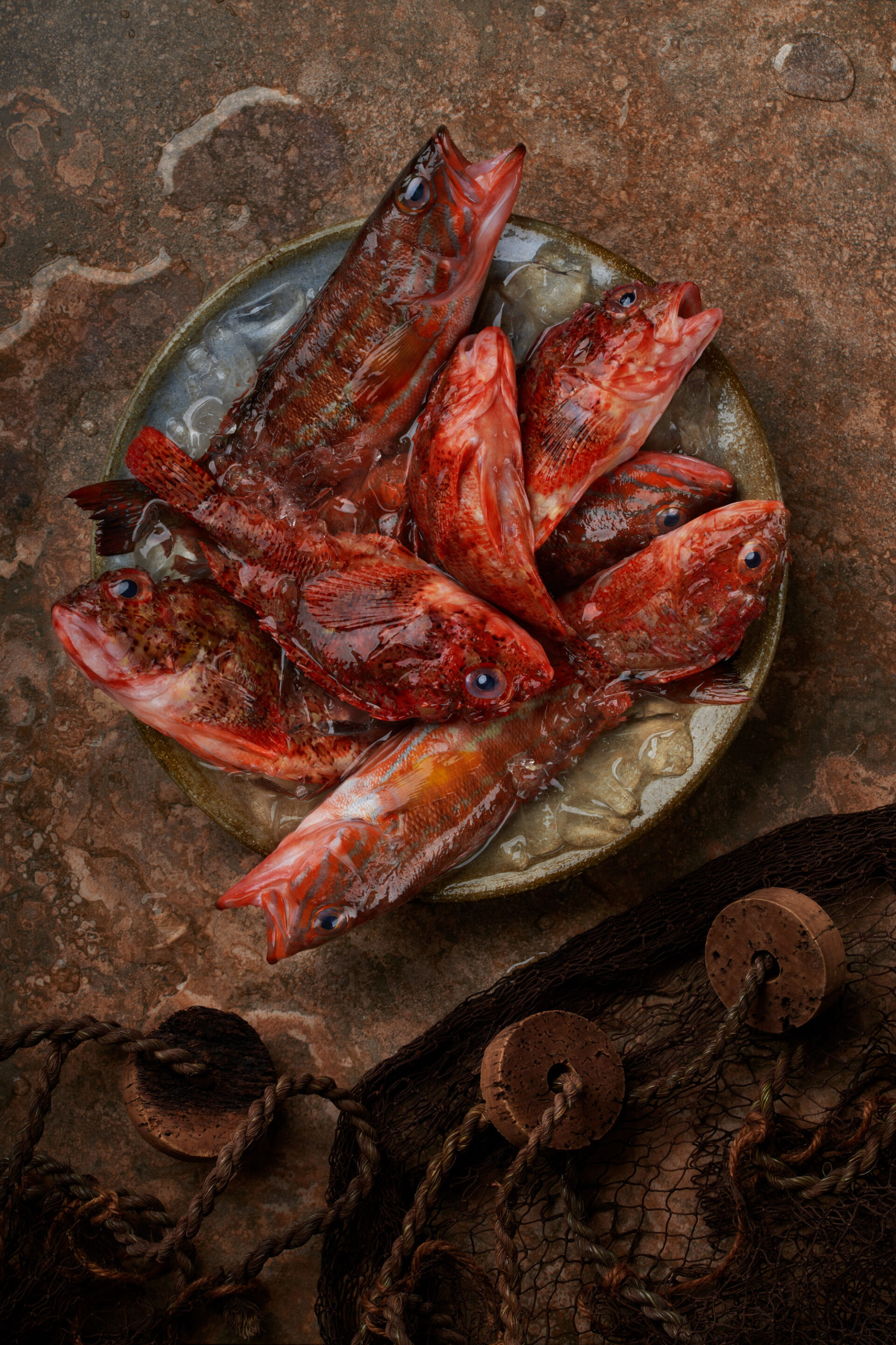 029025-00-Peixos-vermells-copia-2