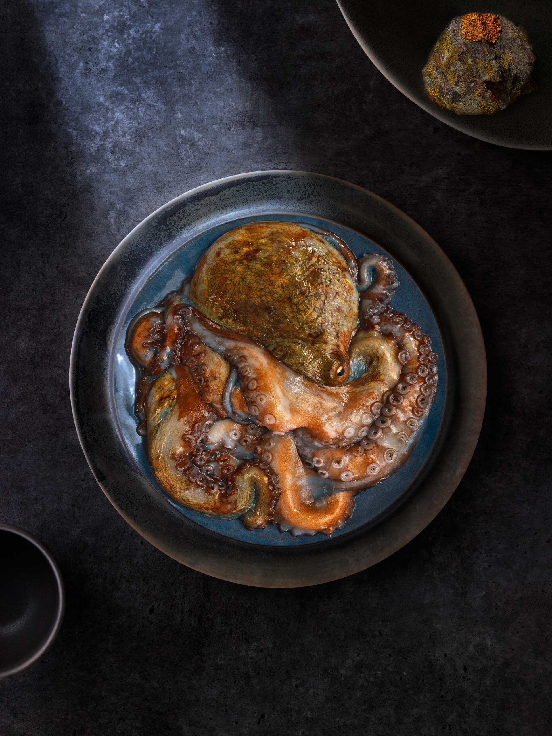 029051-01A-POP-EMPLATAT