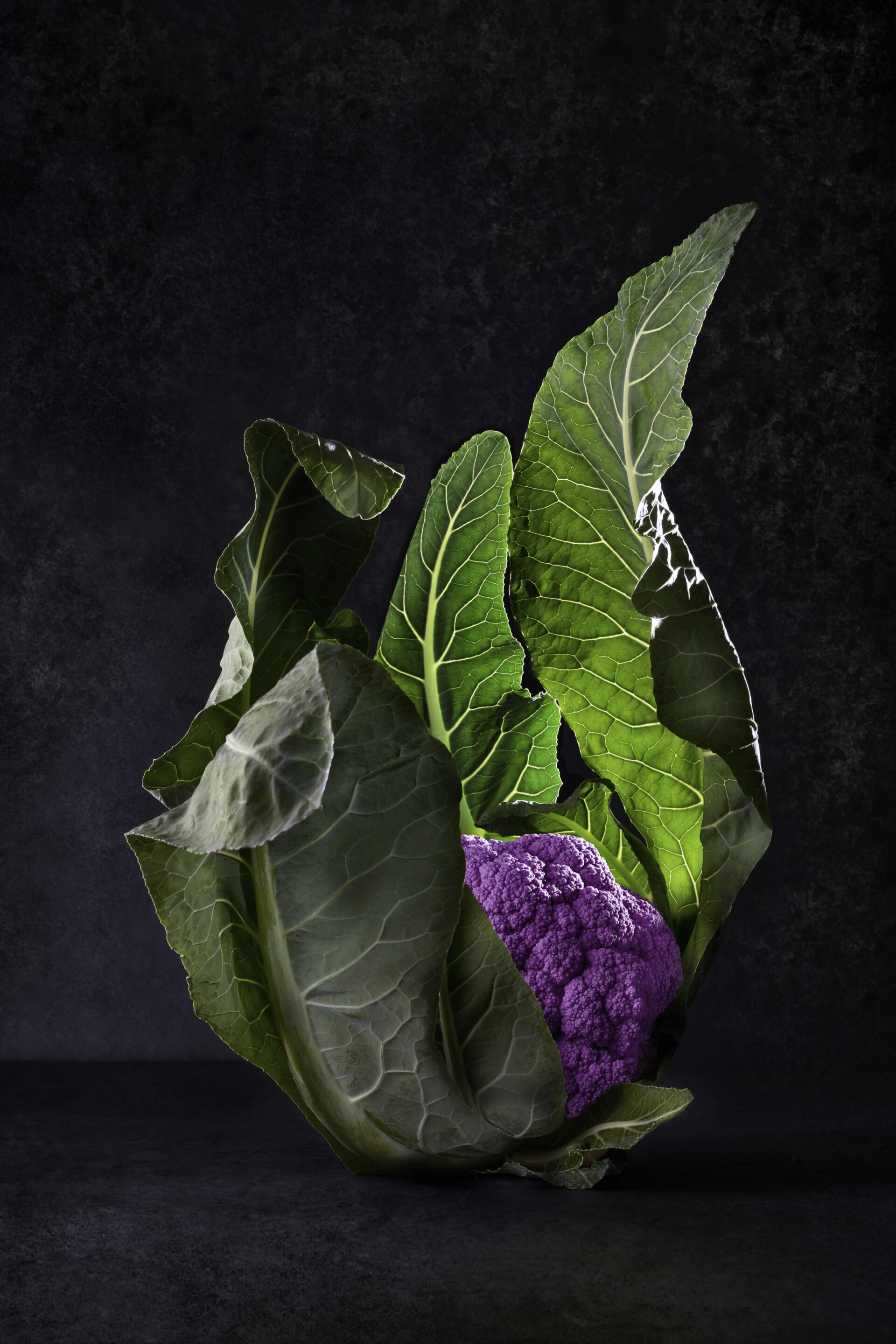 029058-00 Coliflor morada