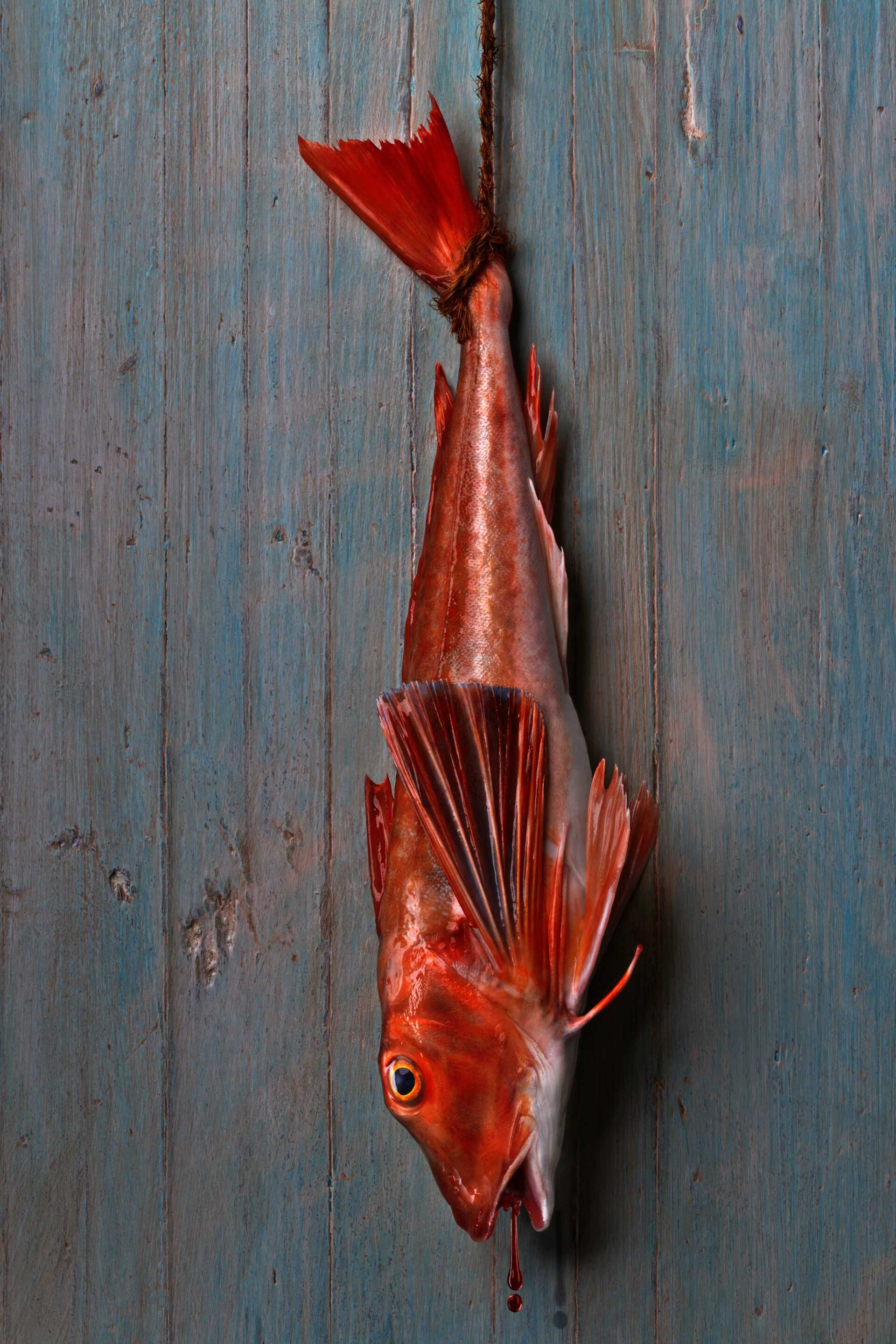 029091-00-Lluerna-fresca-copia-3