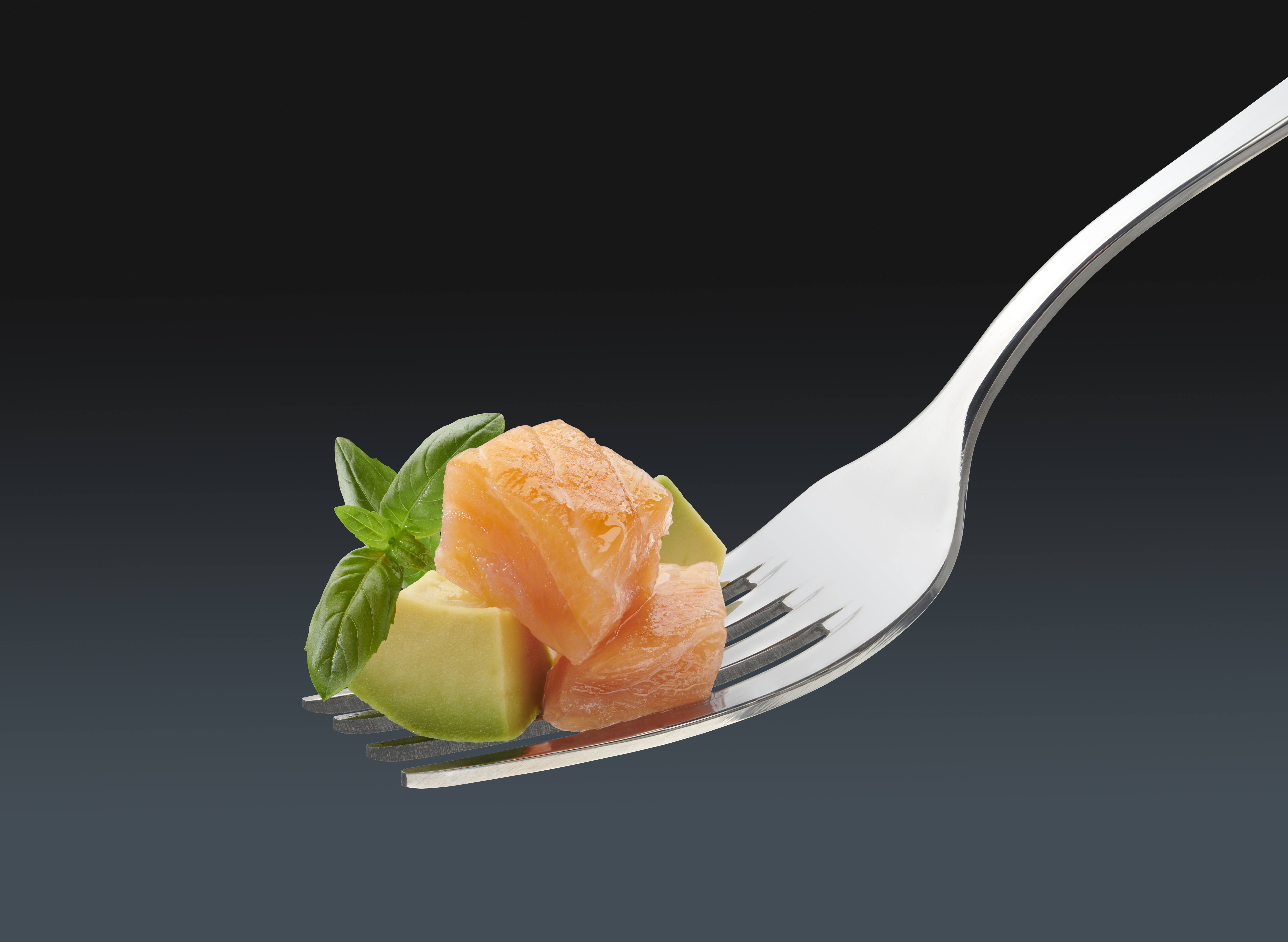 029127-00 ref 5567Tartar Salmo i Advocat