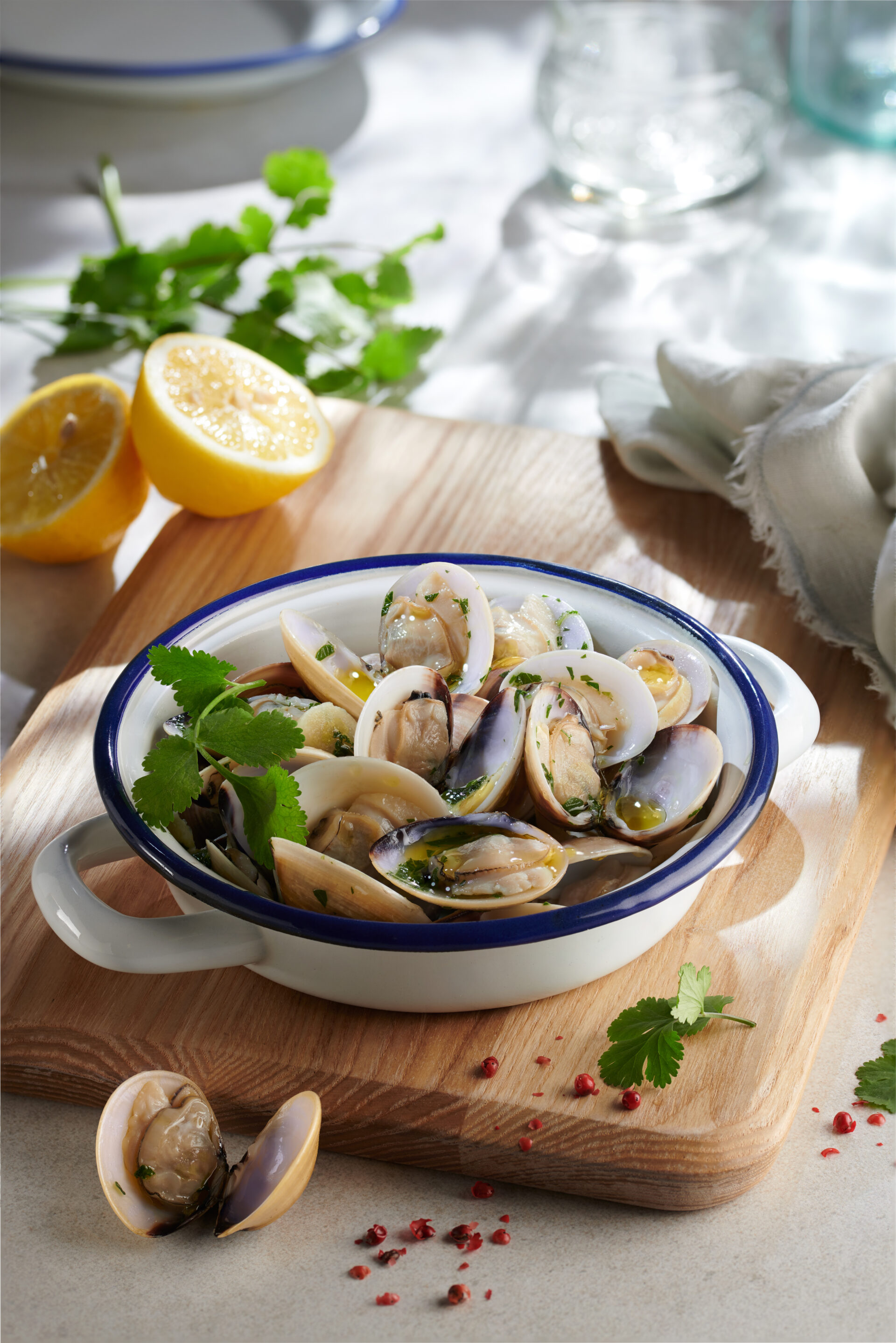 1613: 028938-00 Almeja